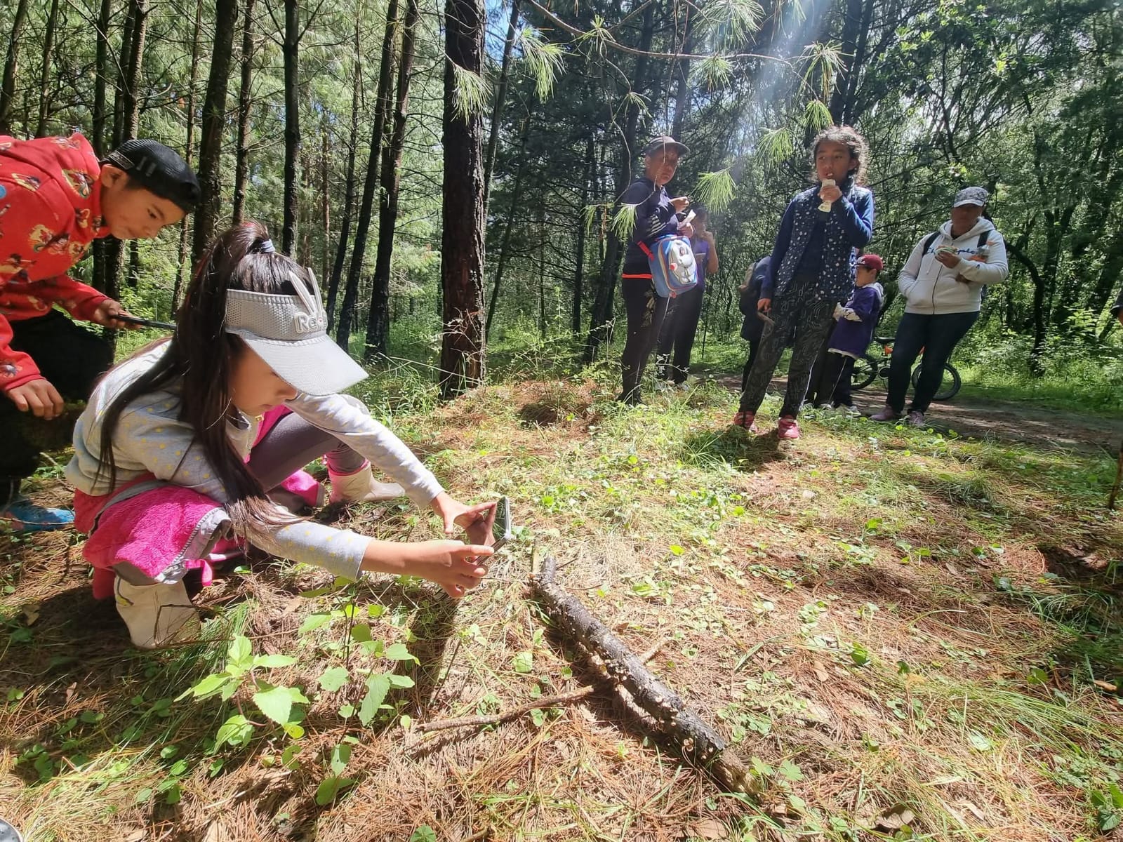 Actividad Cultural Comunitaria: Caminar el Bosque de Agua